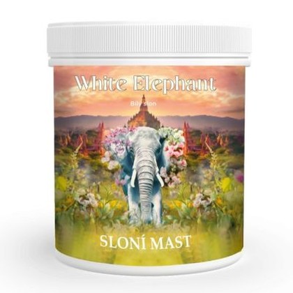 Sloní mast